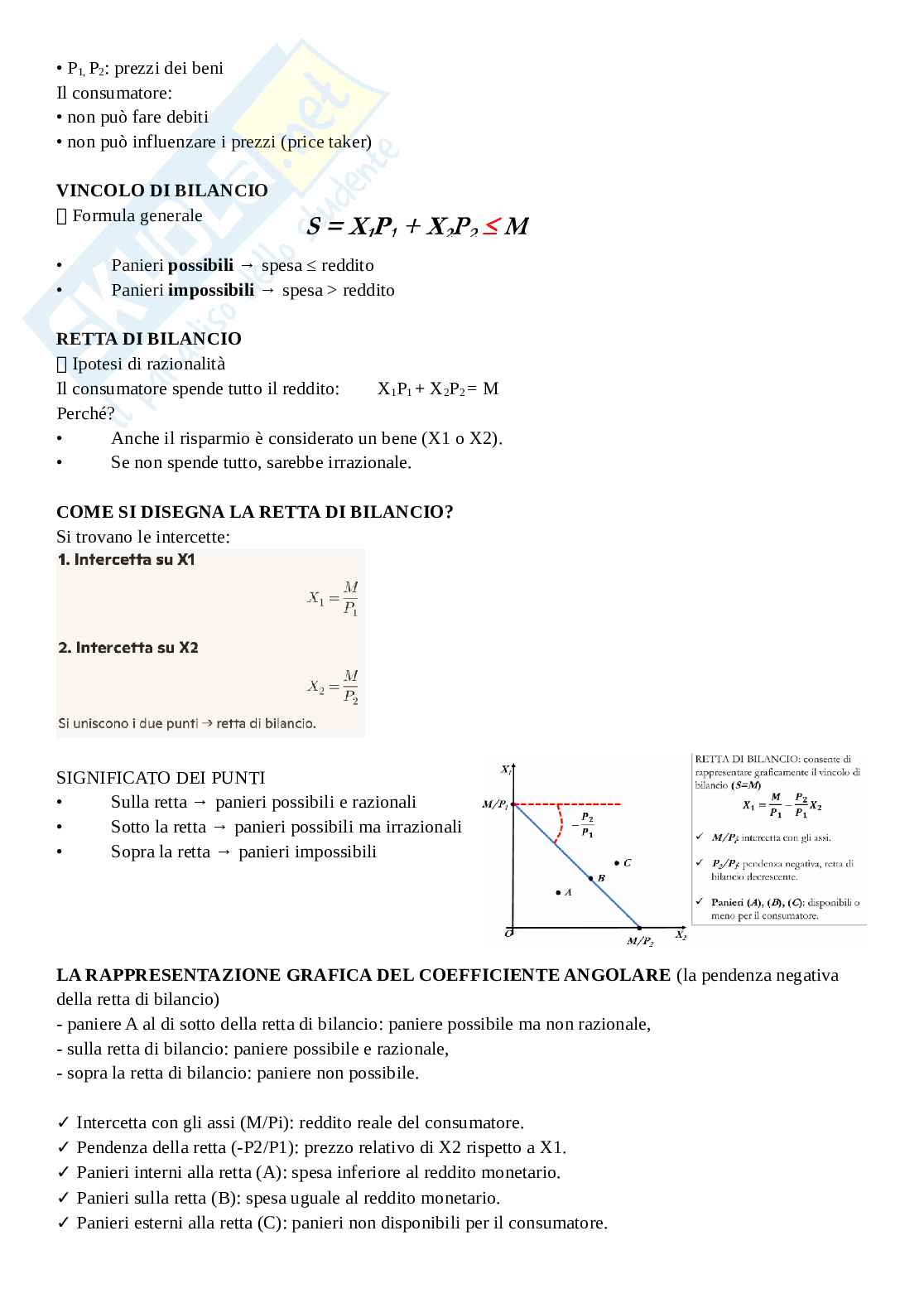 Schemi Microeconomia  Pag. 11