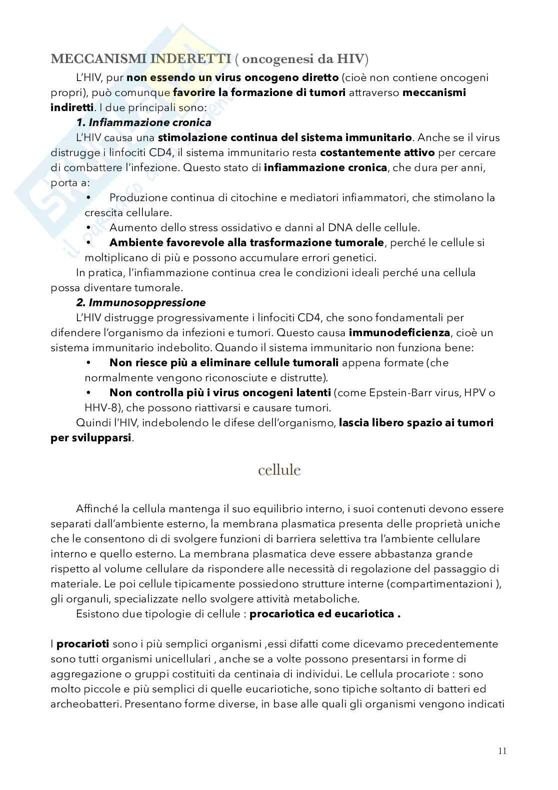 Biologia, semestre filtro Pag. 11