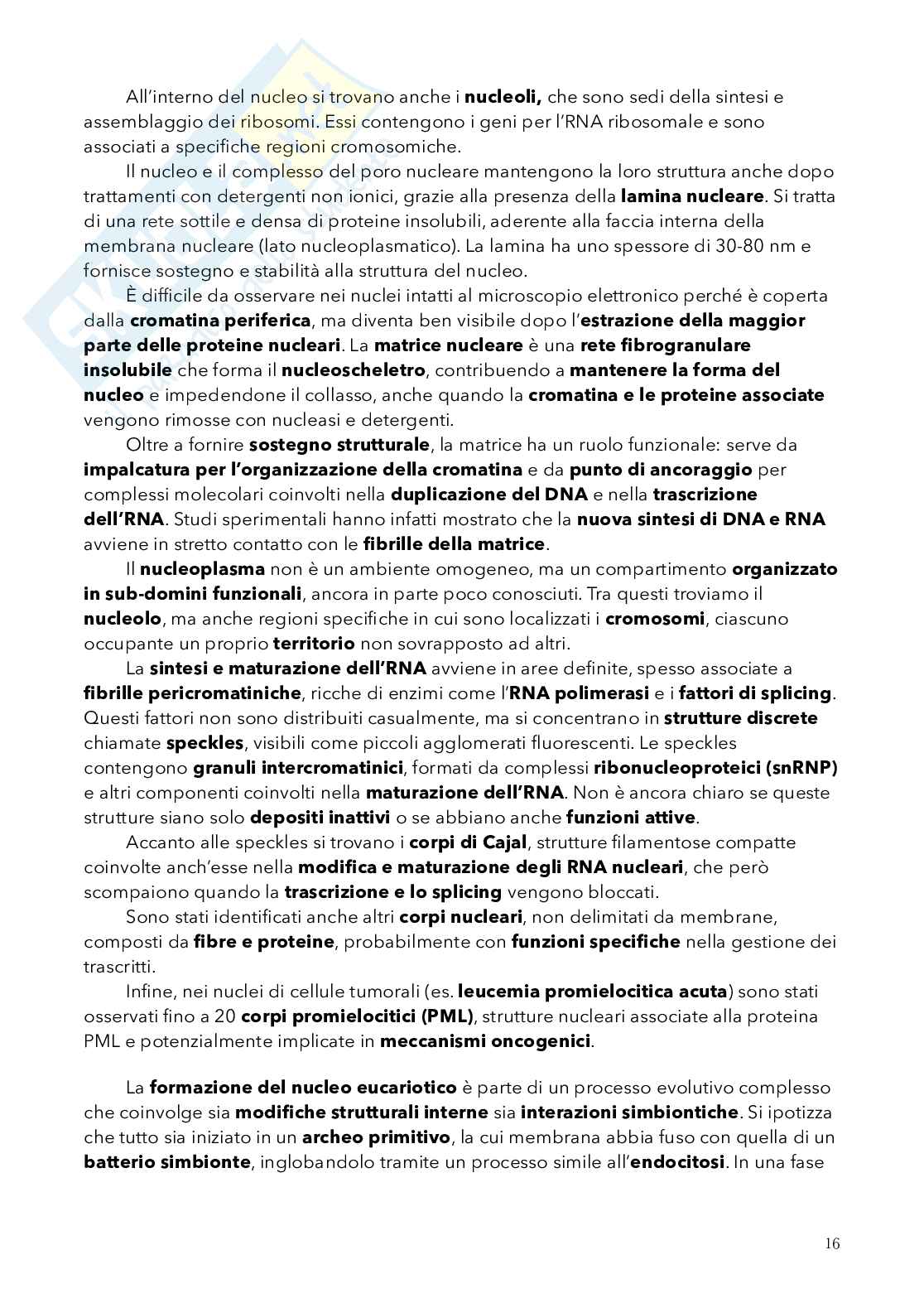 Biologia, semestre filtro Pag. 16