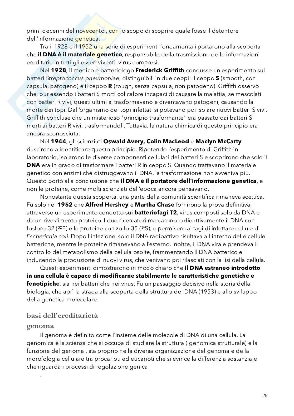Biologia, semestre filtro Pag. 26