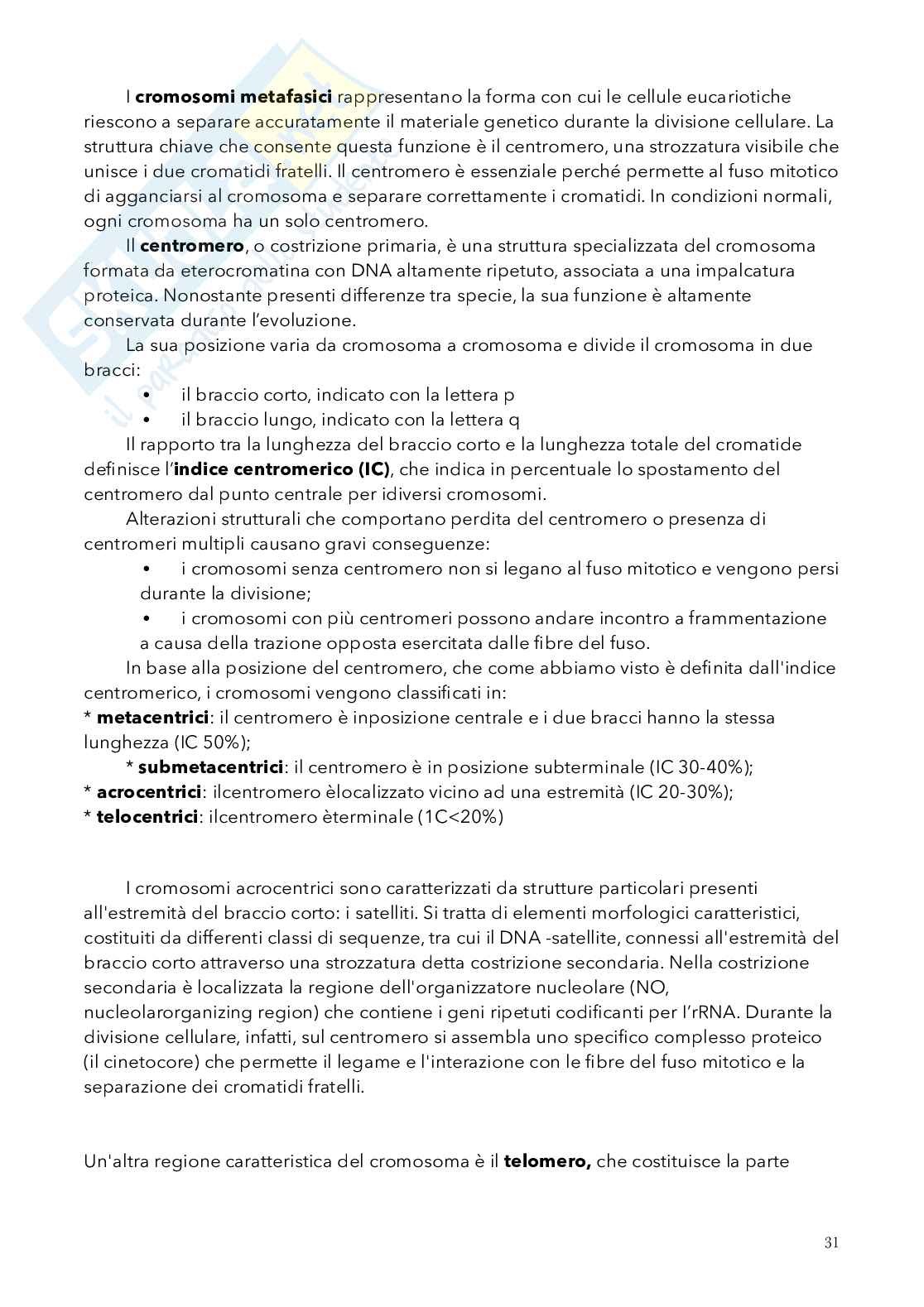 Biologia, semestre filtro Pag. 31