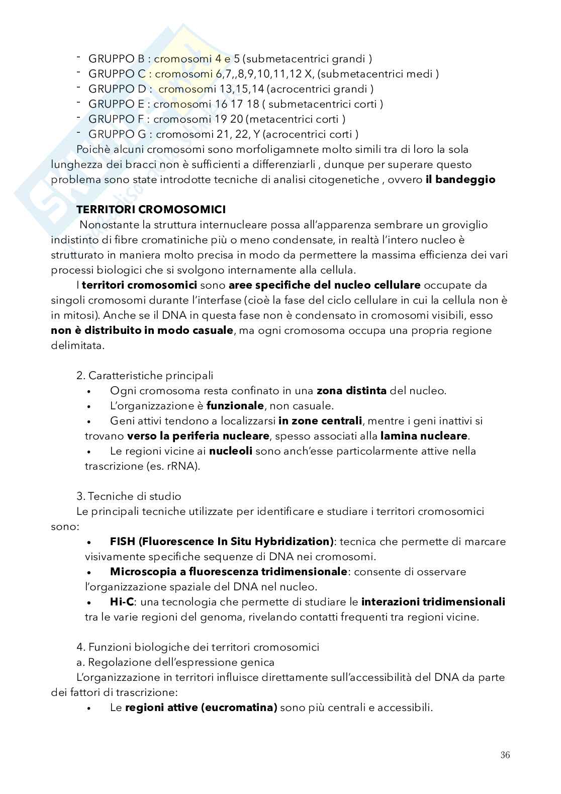 Biologia, semestre filtro Pag. 36