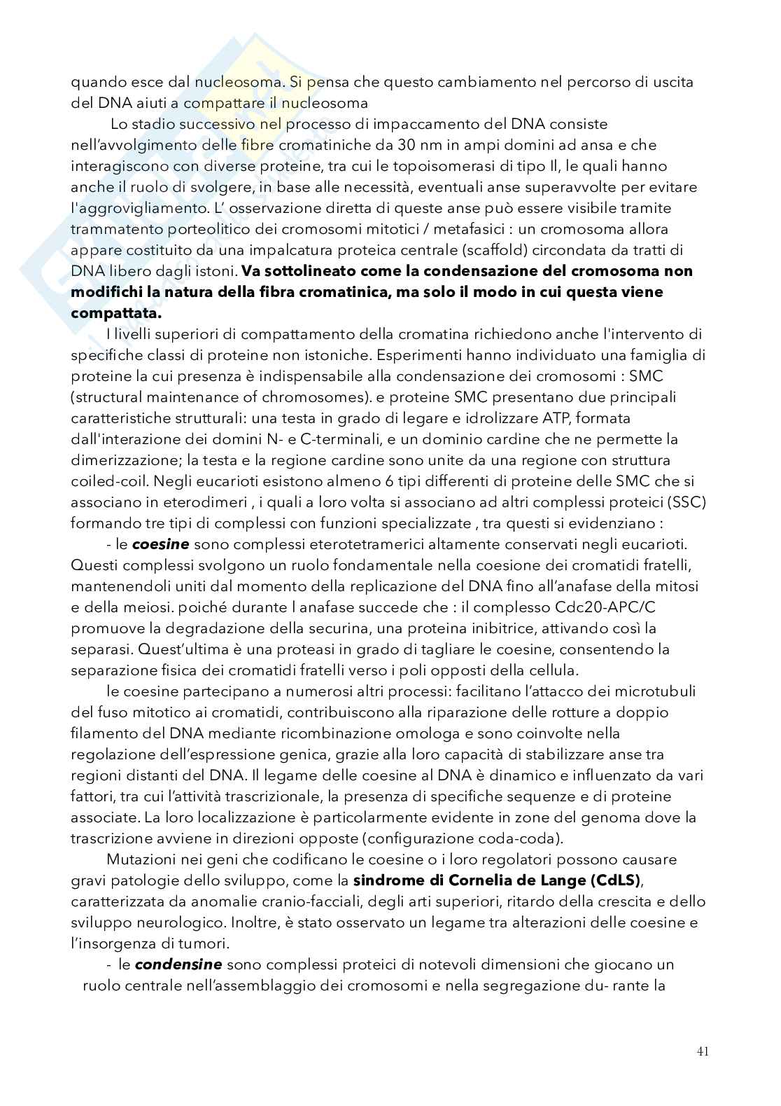 Biologia, semestre filtro Pag. 41