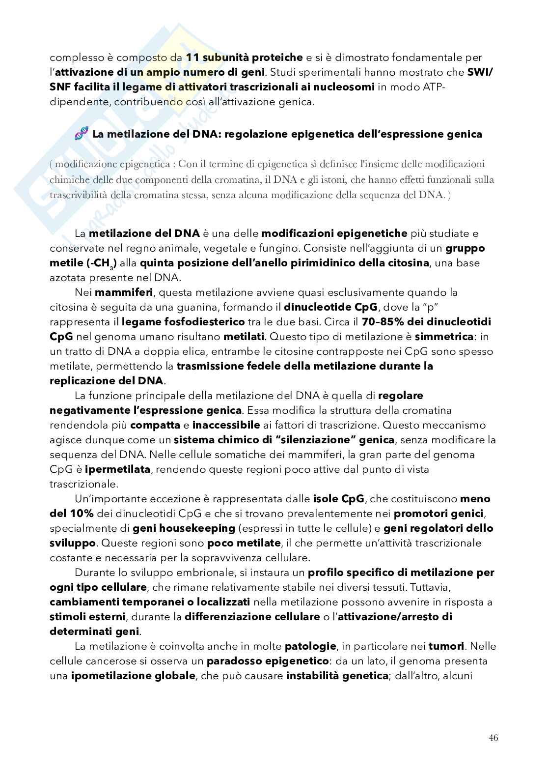 Biologia, semestre filtro Pag. 46