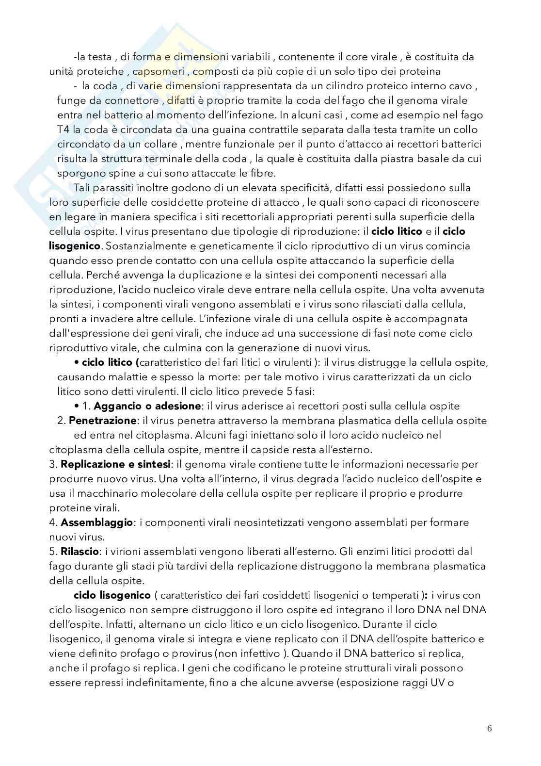 Biologia, semestre filtro Pag. 6