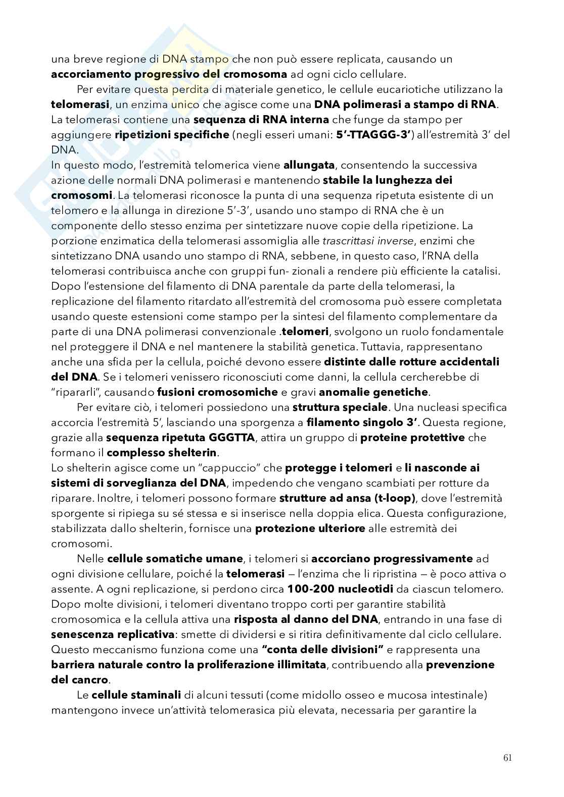 Biologia, semestre filtro Pag. 61