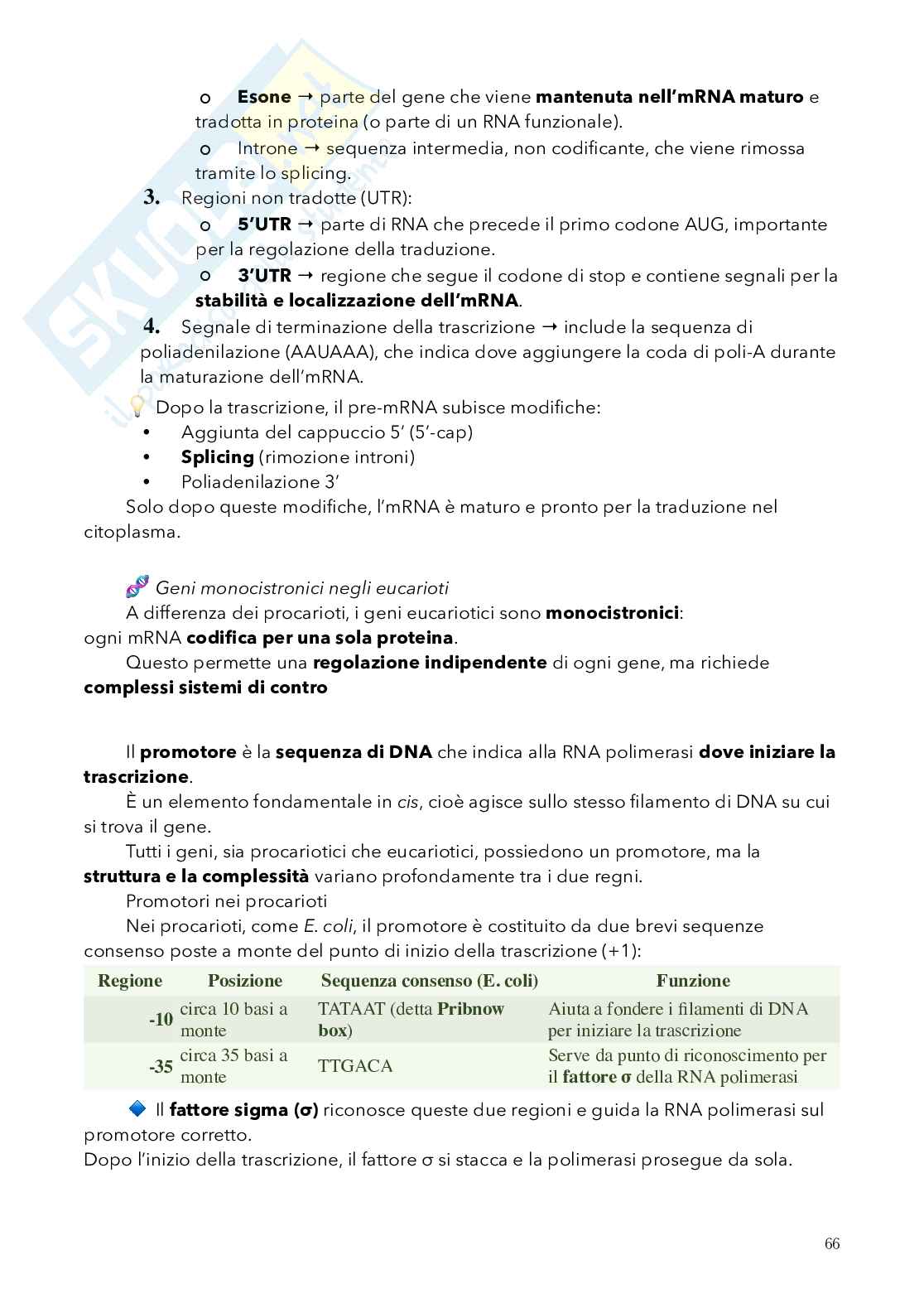 Biologia, semestre filtro Pag. 66