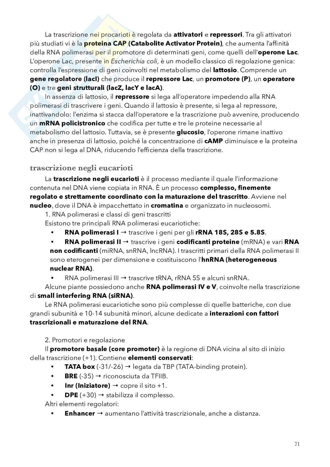 Biologia, semestre filtro Pag. 71