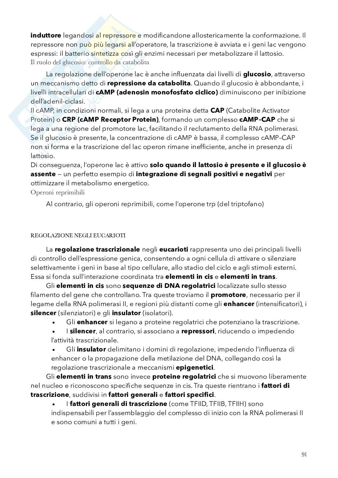 Biologia, semestre filtro Pag. 91