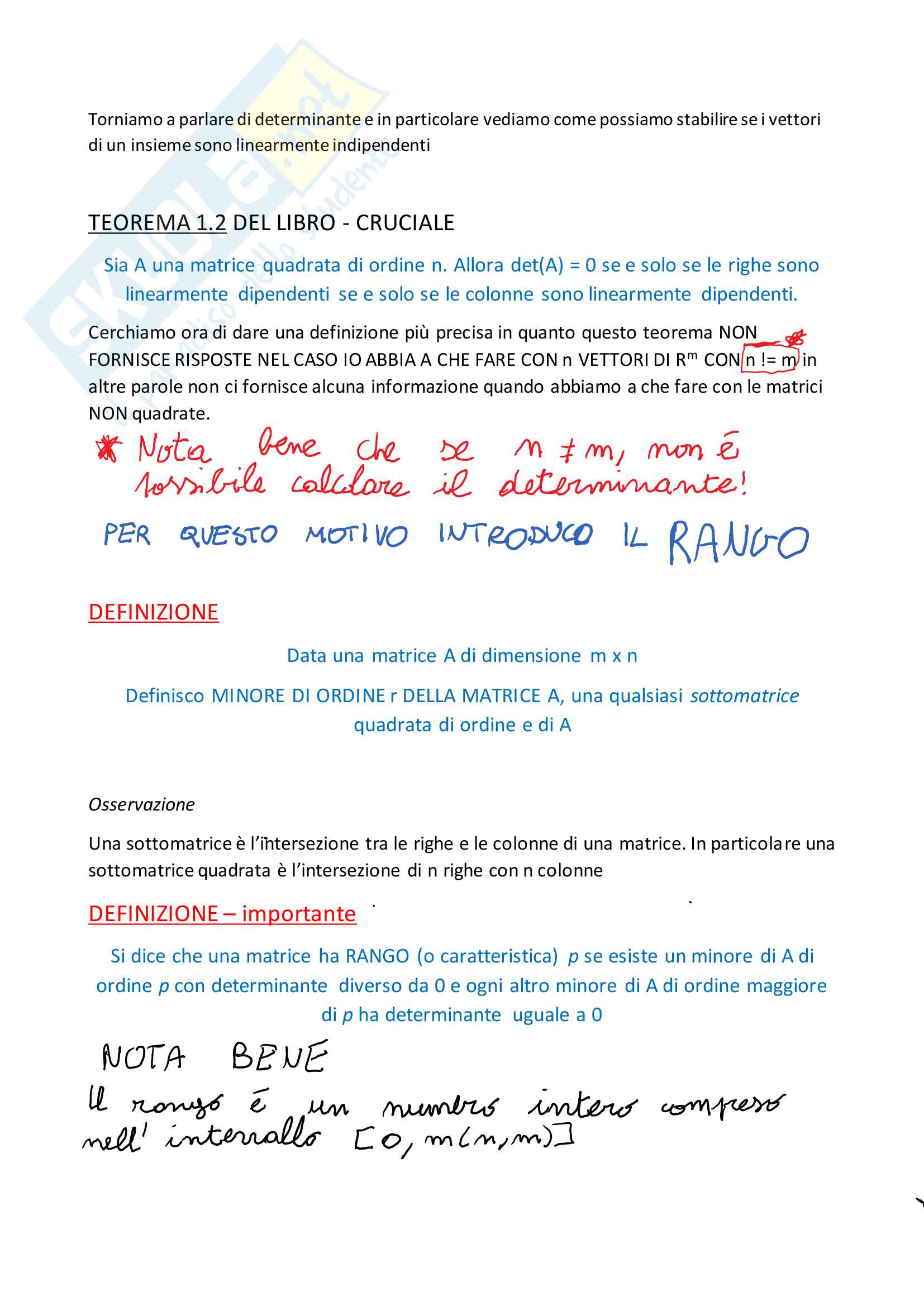 Appunti sulle matrici Pag. 51