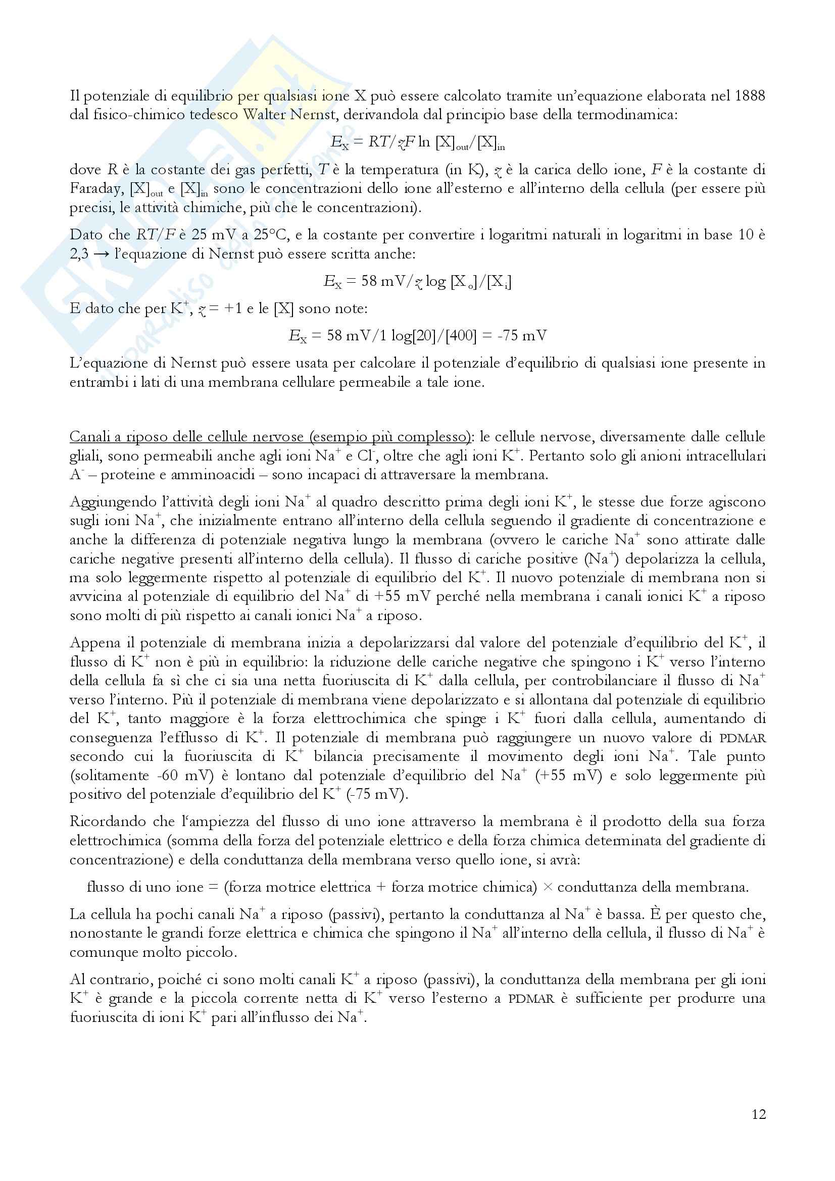 Riassunto esame Fisiologia, prof. Incerpi, libro consigliato Fisiologia: Un approccio integrato, Silverthon Pag. 16