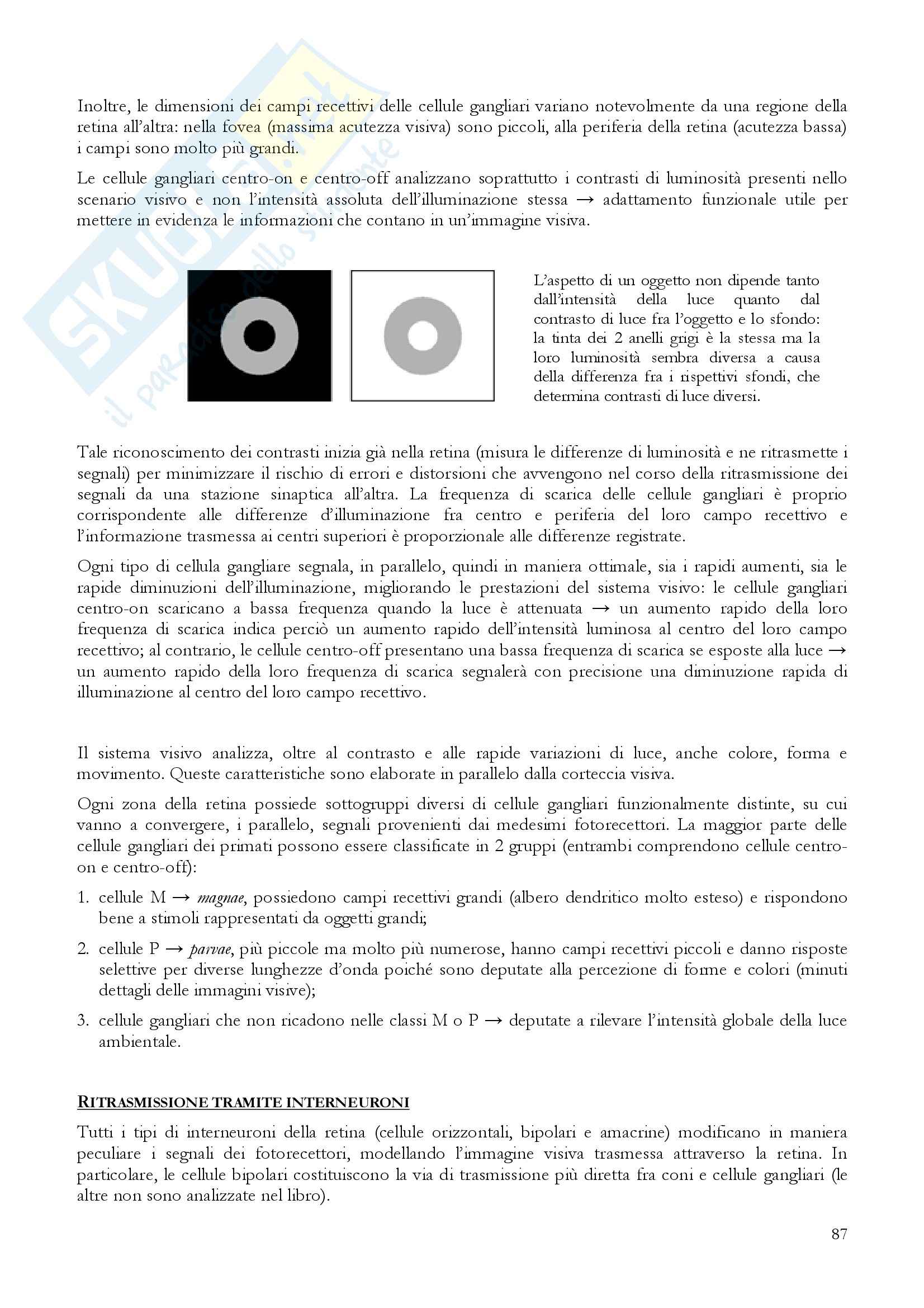 Riassunto esame Fisiologia, prof. Incerpi, libro consigliato Fisiologia: Un approccio integrato, Silverthon Pag. 91