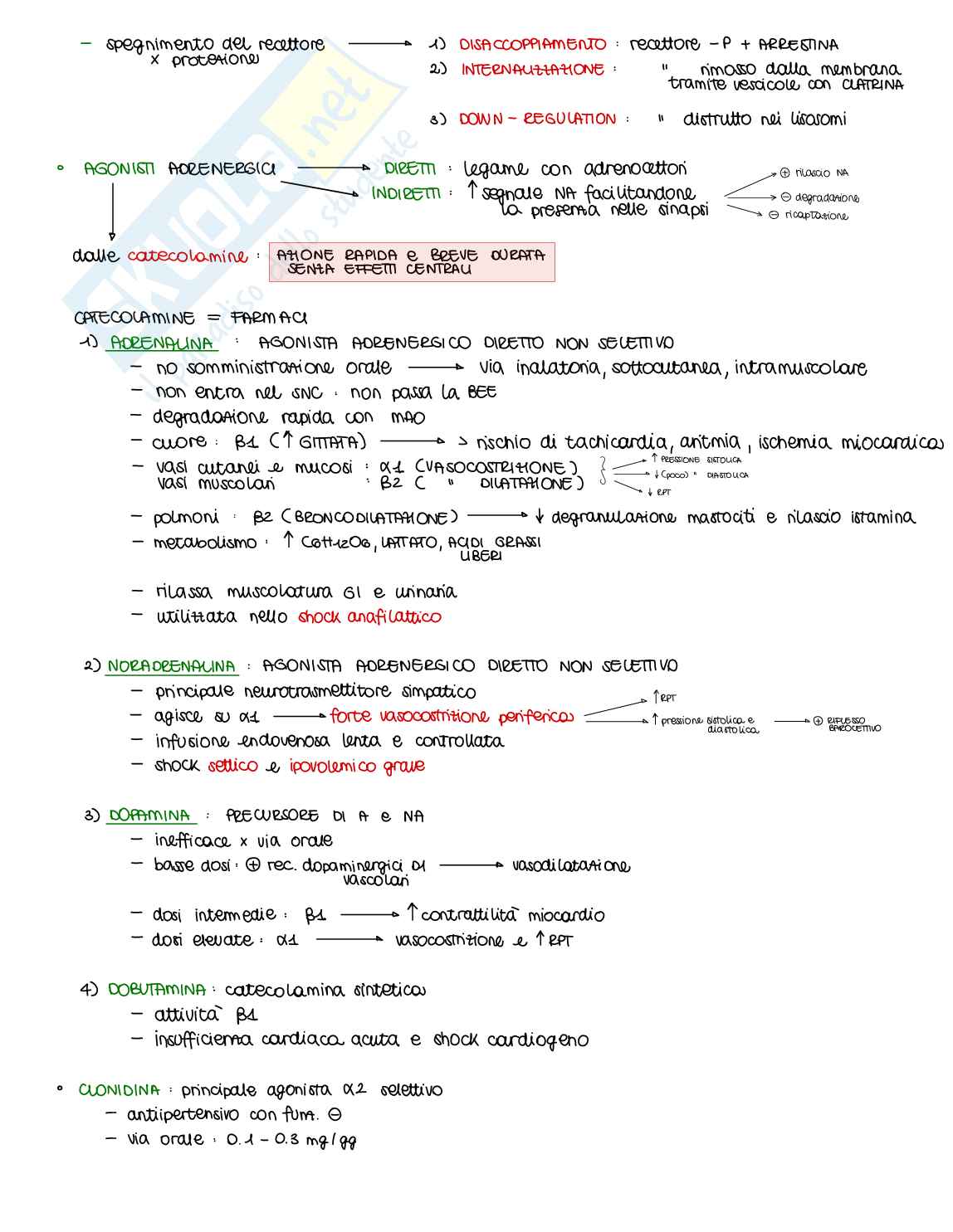 Appunti di Farmacologia generale - parte 2 di 2 Pag. 16