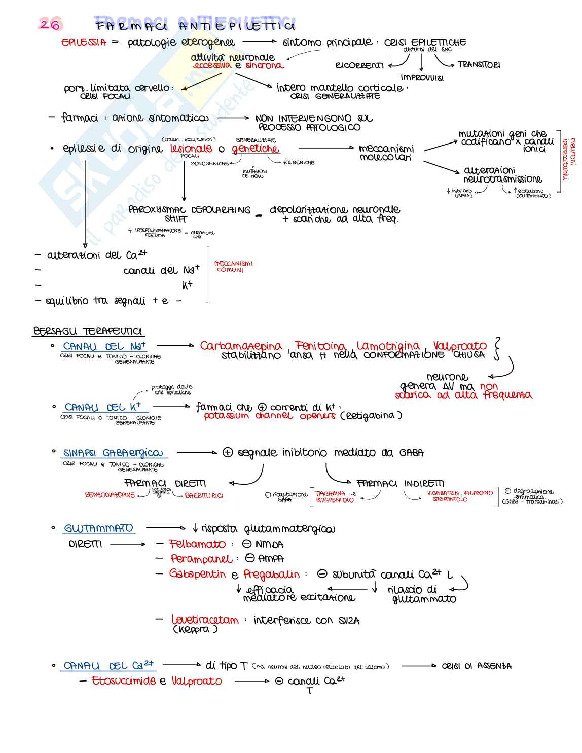 Appunti di Farmacologia generale - parte 2 di 2 Pag. 21