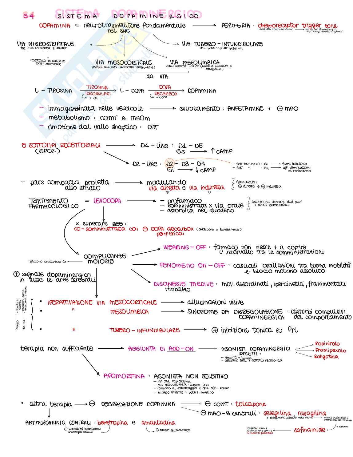 Appunti di Farmacologia generale - parte 2 di 2 Pag. 26