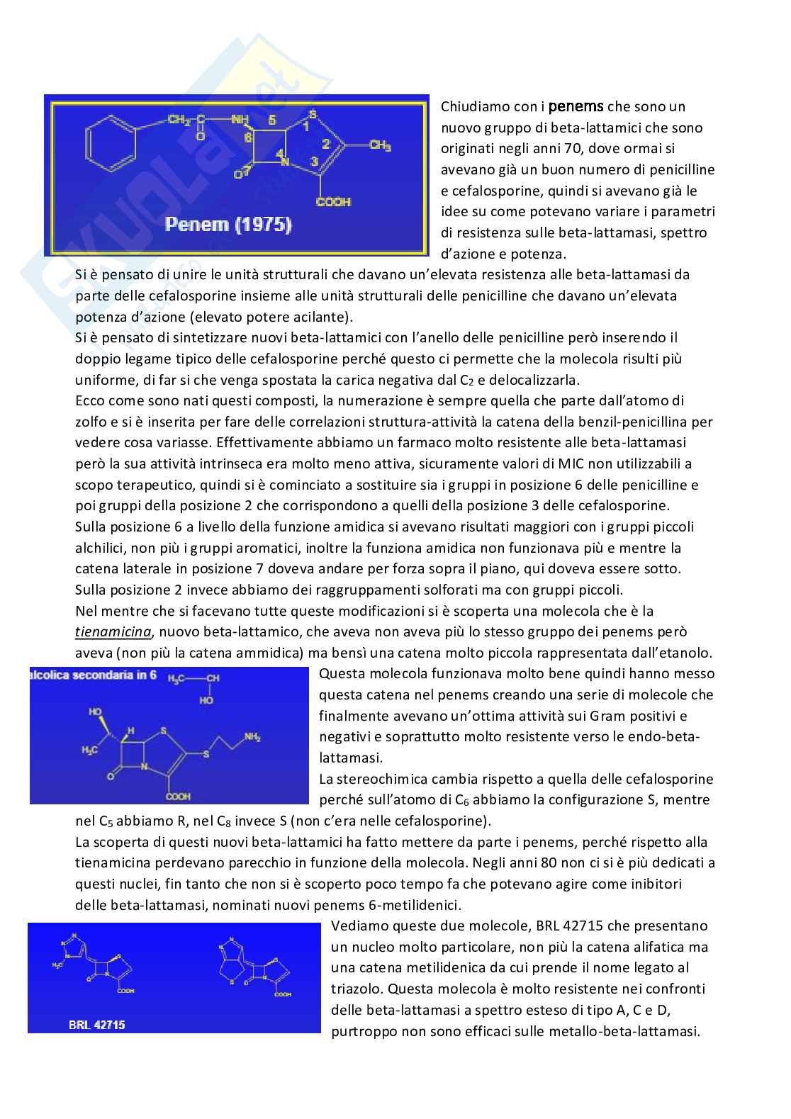 Chimica farmaceutica 1 e fitochimica - Seconda parte Pag. 11