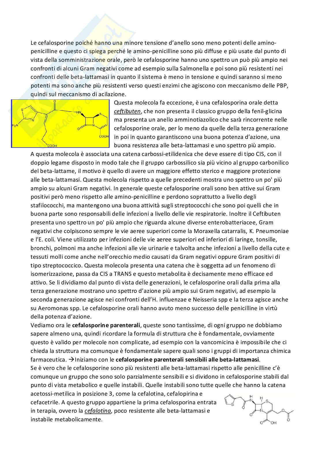 Chimica farmaceutica 1 e fitochimica - Seconda parte Pag. 2