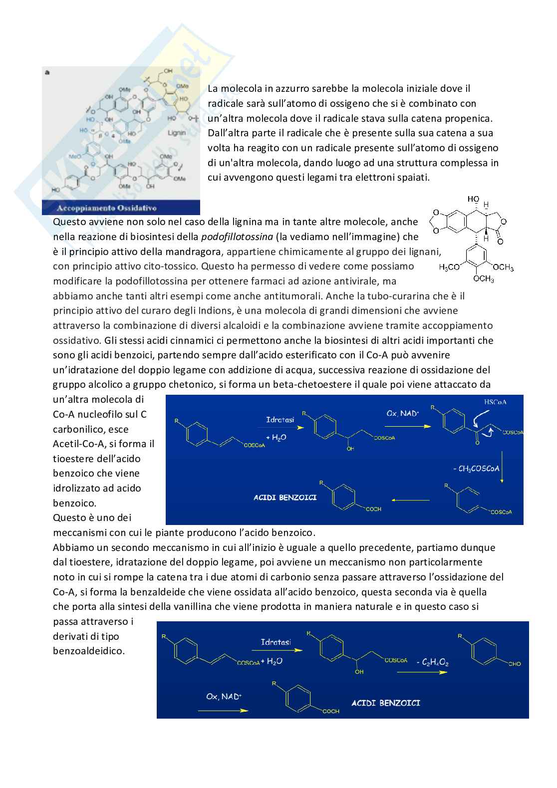 Chimica farmaceutica 1 e fitochimica - Seconda parte Pag. 31