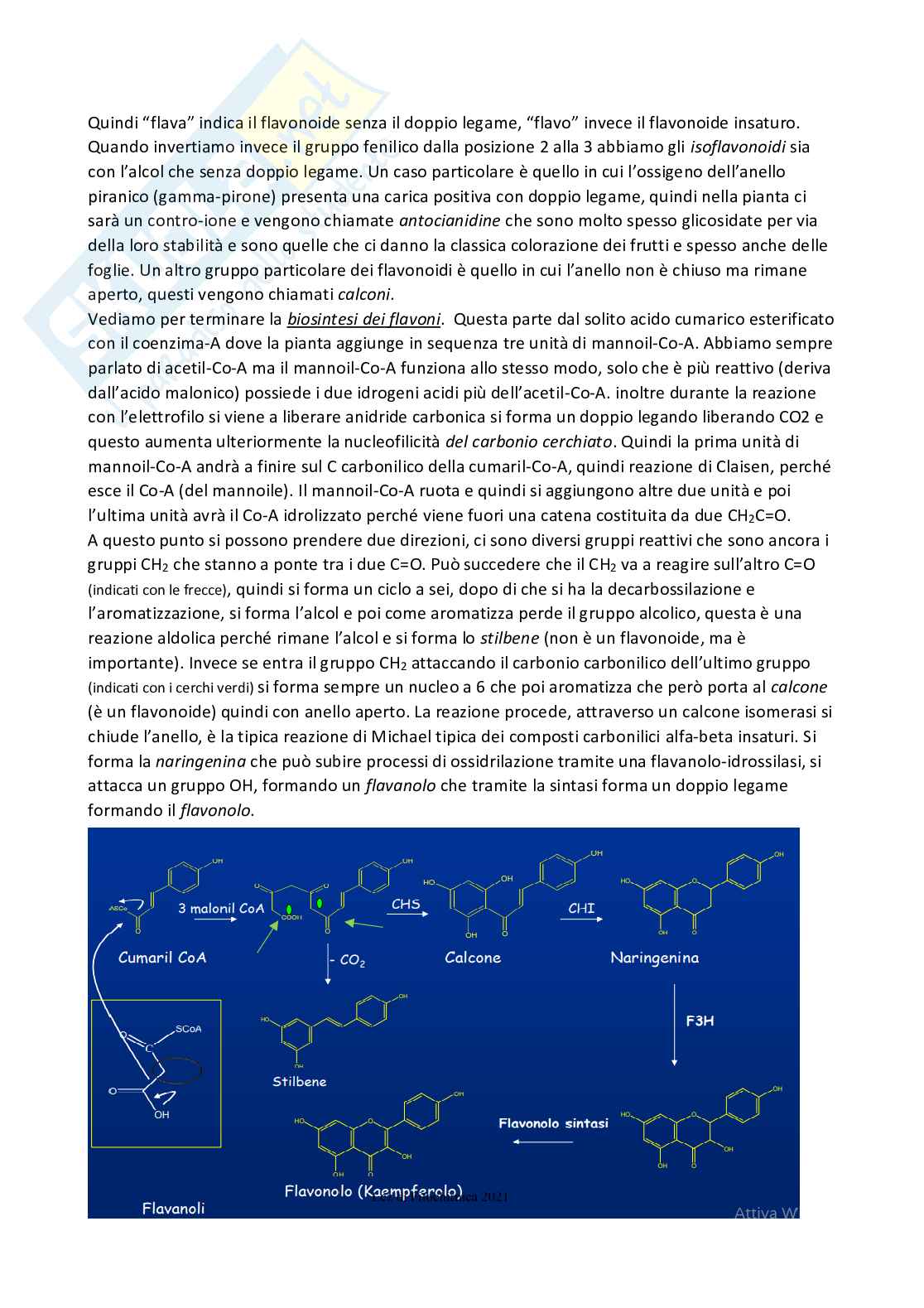 Chimica farmaceutica 1 e fitochimica - Seconda parte Pag. 36