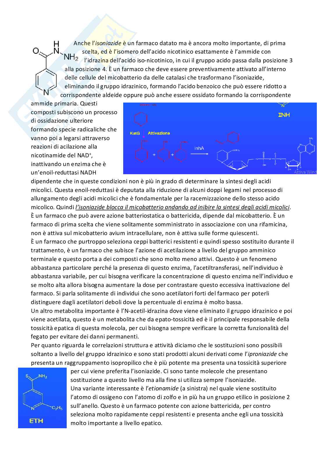 Chimica farmaceutica 1 e fitochimica - Seconda parte Pag. 46