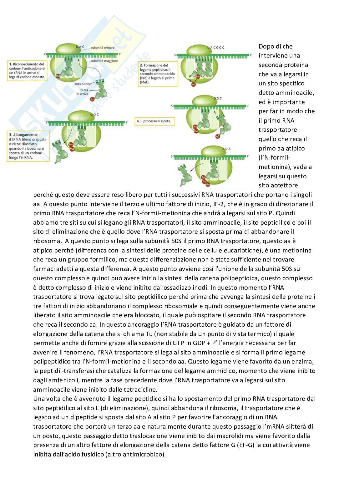 Chimica farmaceutica 1 e fitochimica - Seconda parte Pag. 51