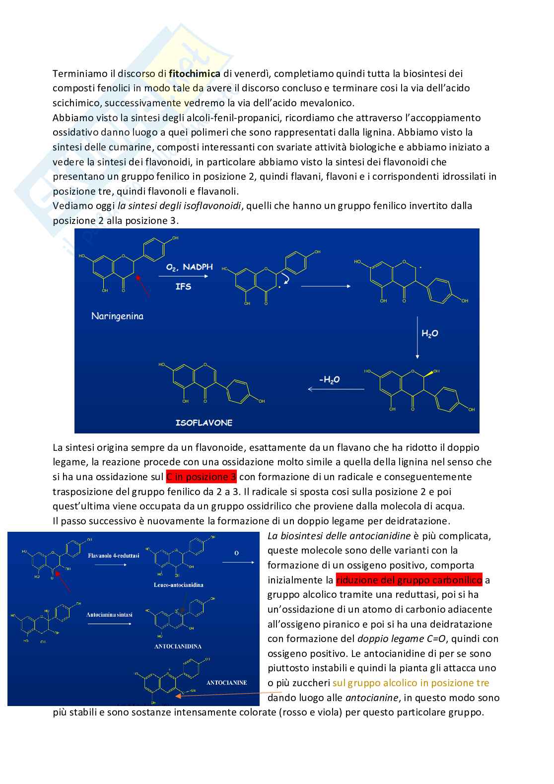 Chimica farmaceutica 1 e fitochimica - Seconda parte Pag. 56