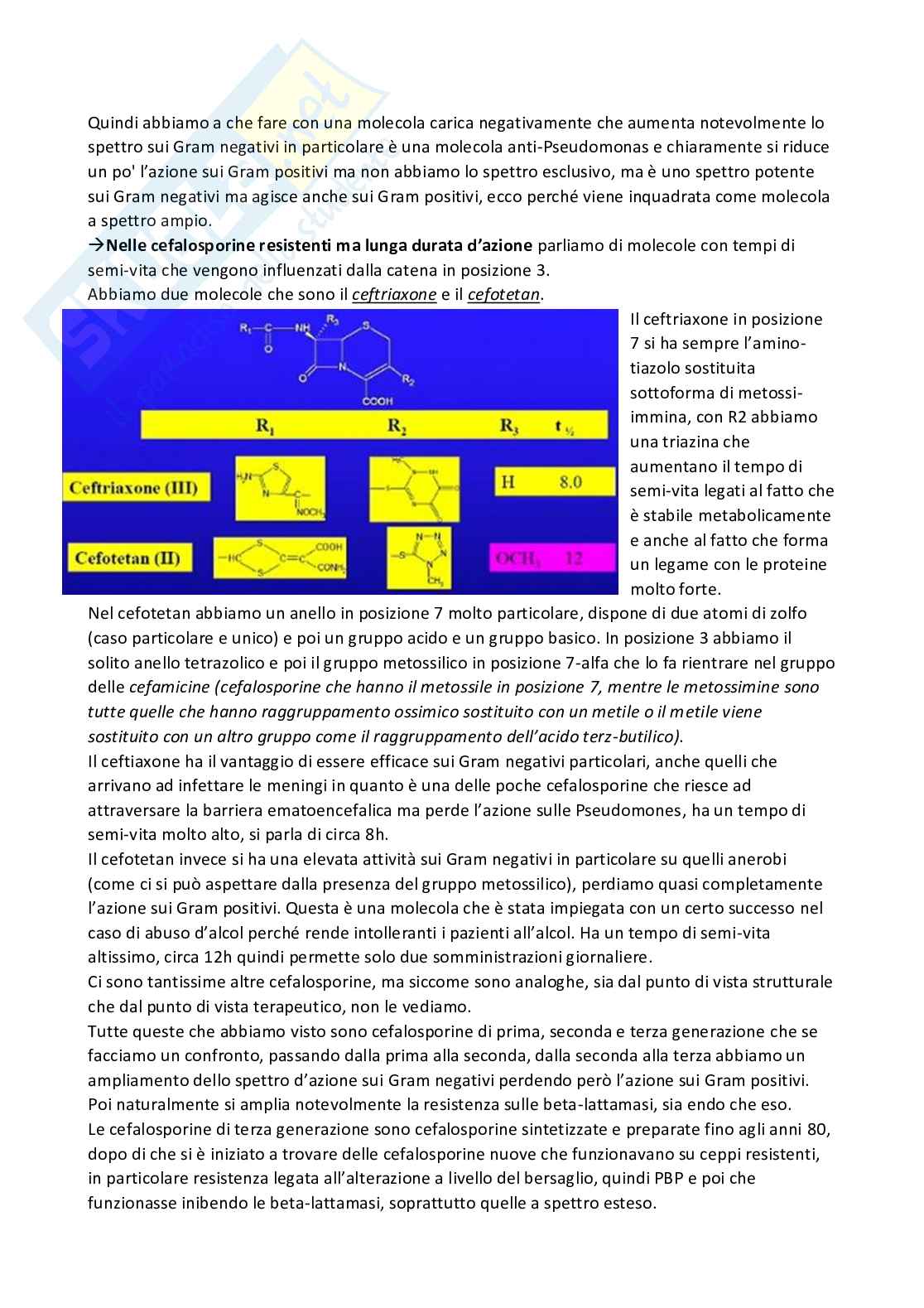 Chimica farmaceutica 1 e fitochimica - Seconda parte Pag. 6