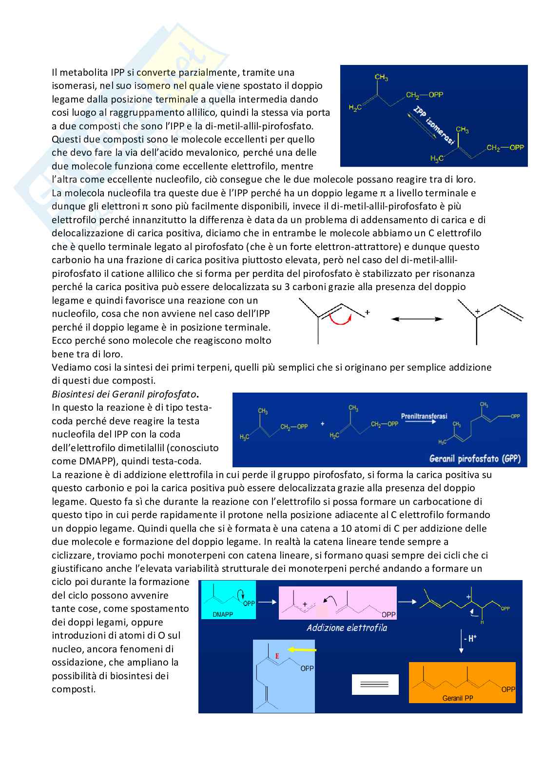 Chimica farmaceutica 1 e fitochimica - Seconda parte Pag. 71