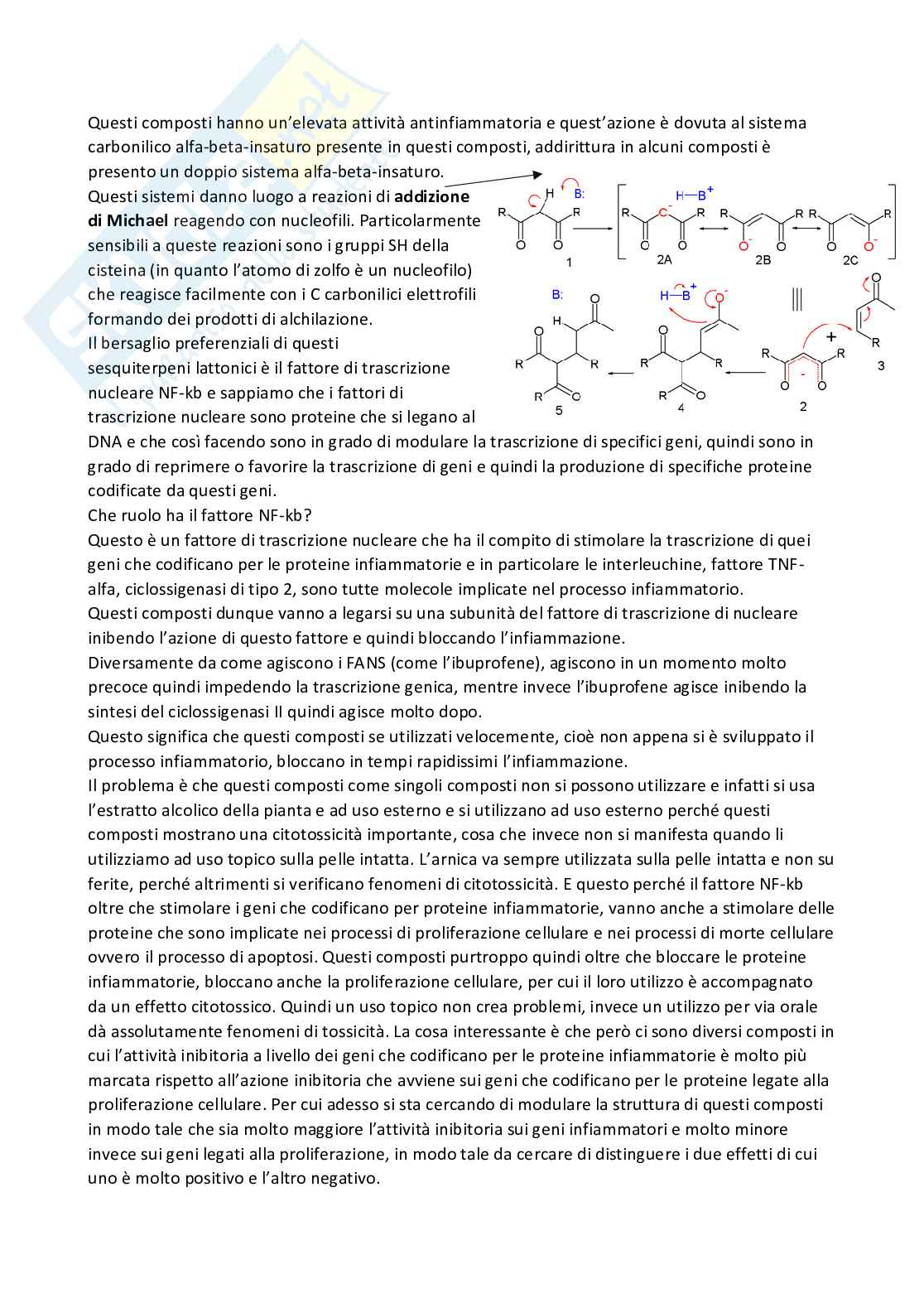 Chimica farmaceutica 1 e fitochimica - Seconda parte Pag. 76
