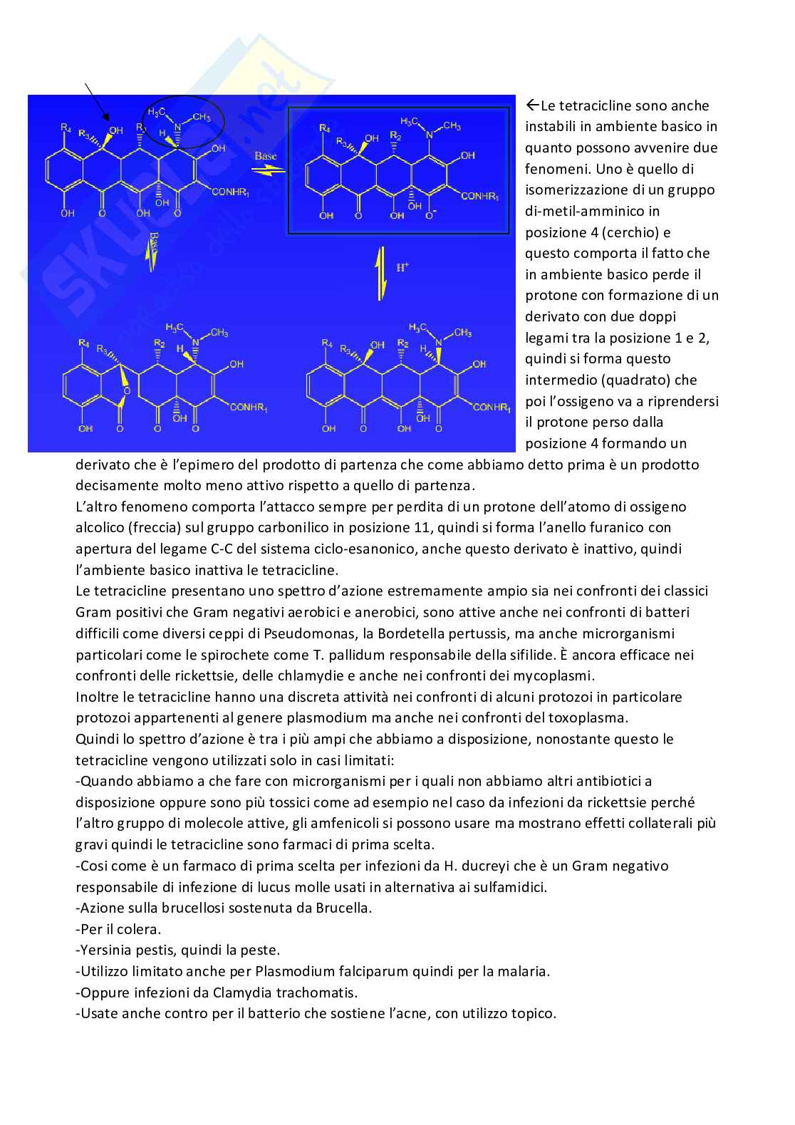 Chimica farmaceutica 1 e fitochimica - Seconda parte Pag. 81