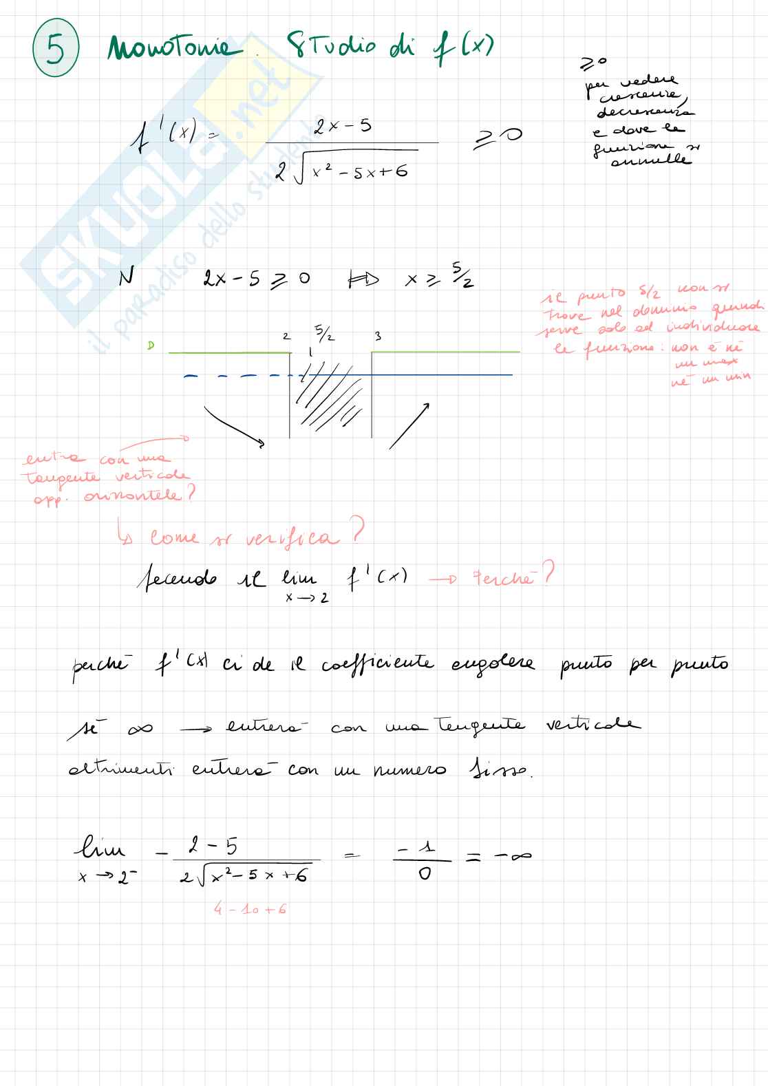 Studi di funzione Pag. 41