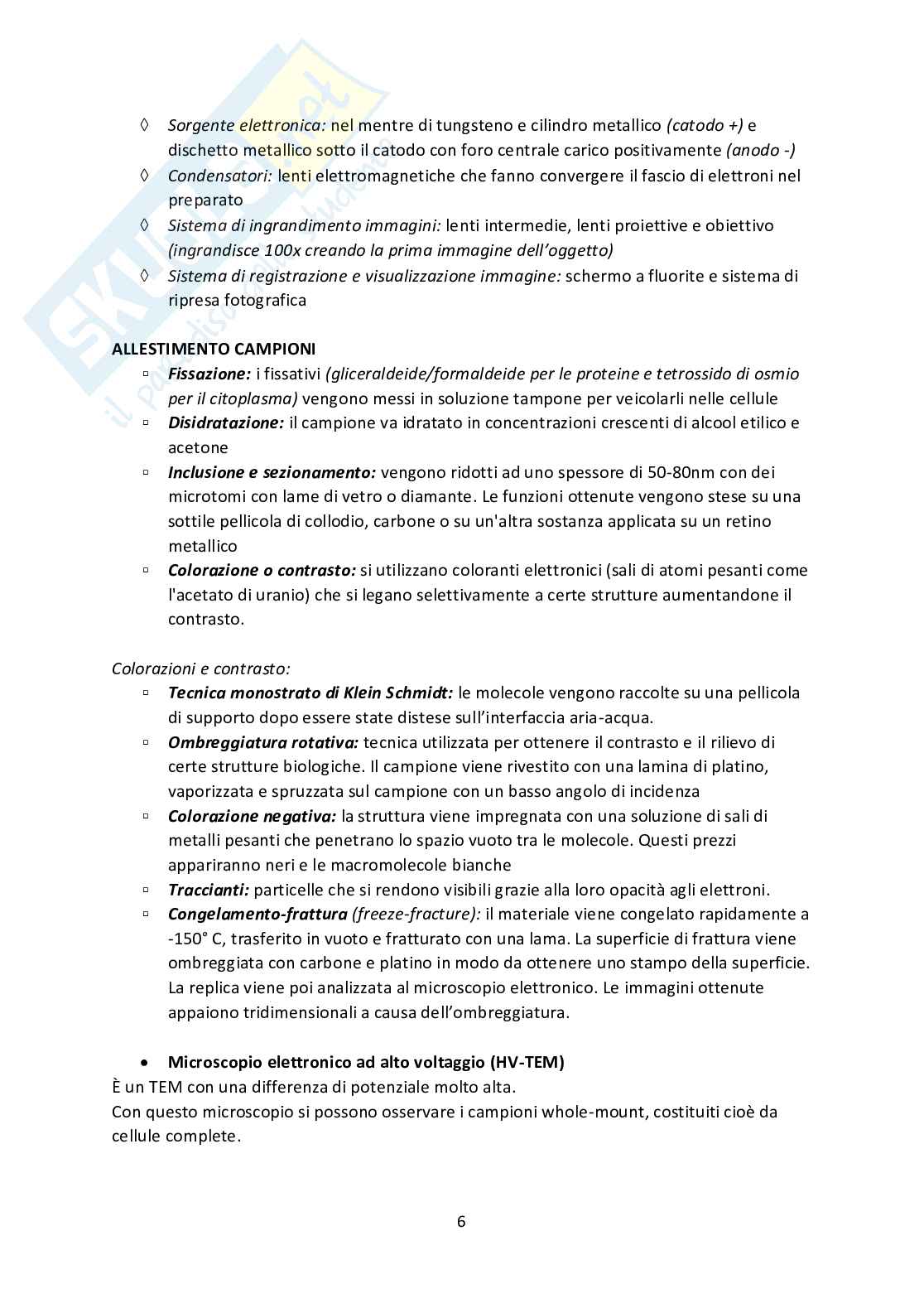 Appunti per esame Microscopia Pag. 6