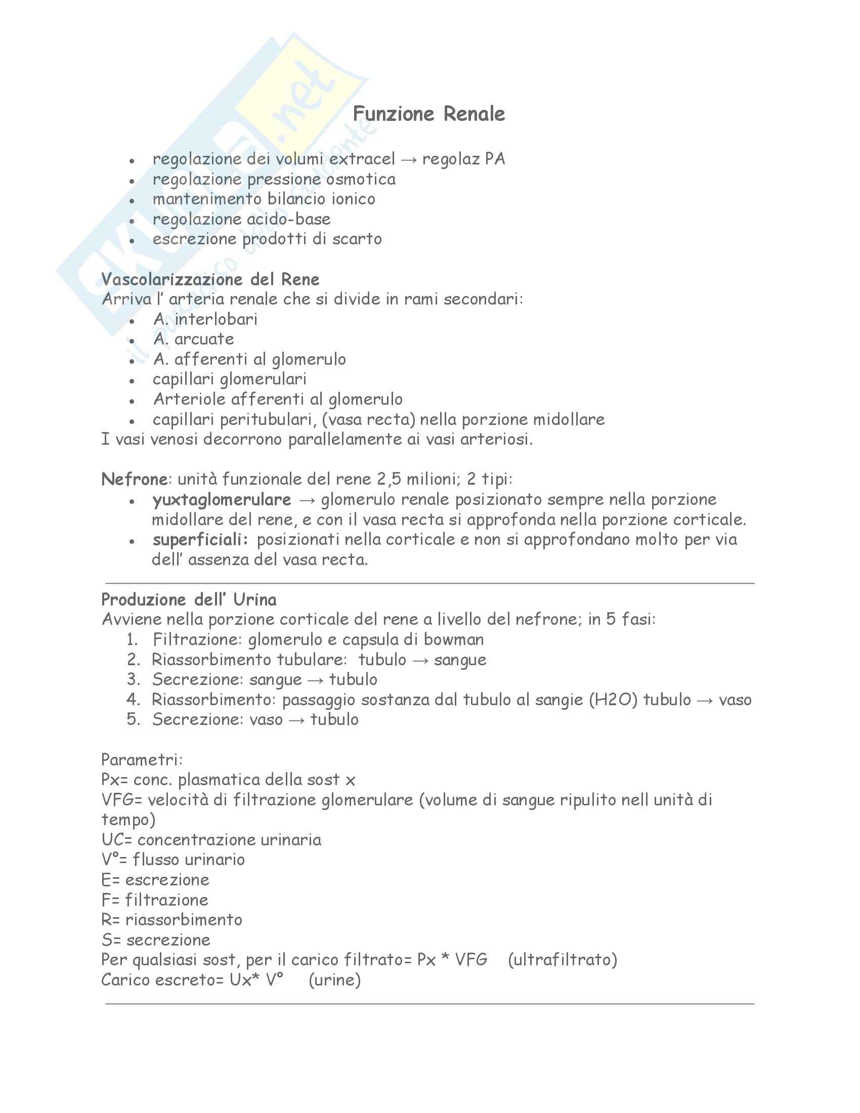Fisiologia - la fisiologia del rene Pag. 1