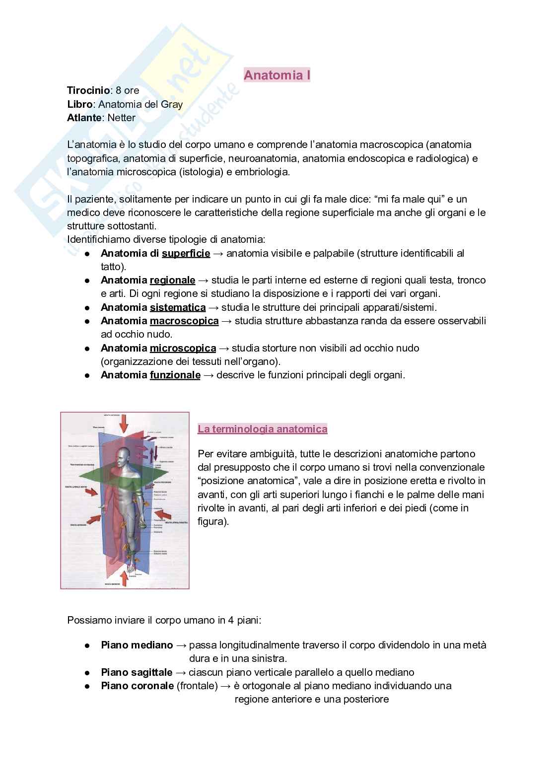 Anatomia I, 25/26 (Appunti completi + immagini atlante e tabelle) Pag. 1