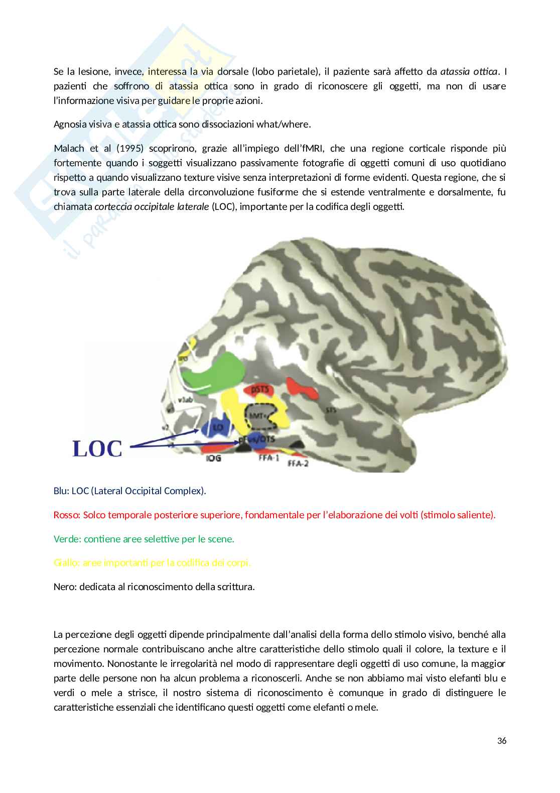 Appunti Psicobiologia Pag. 36