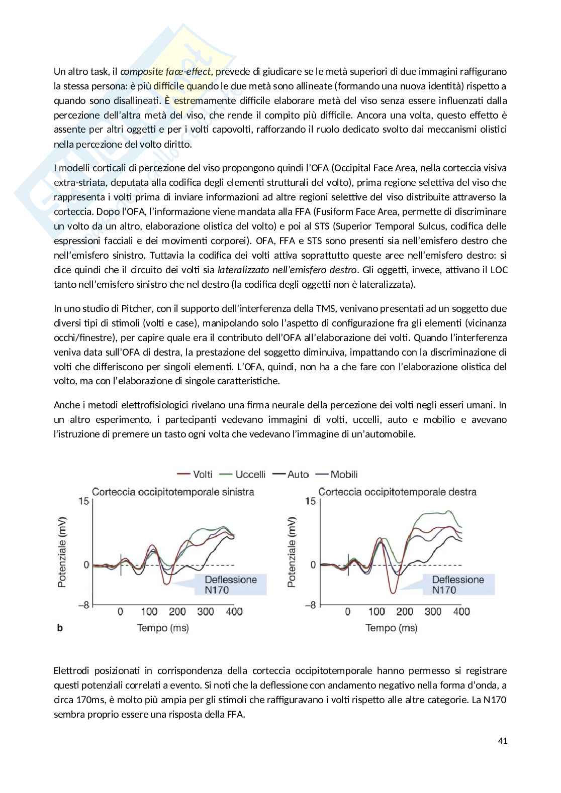 Appunti Psicobiologia Pag. 41