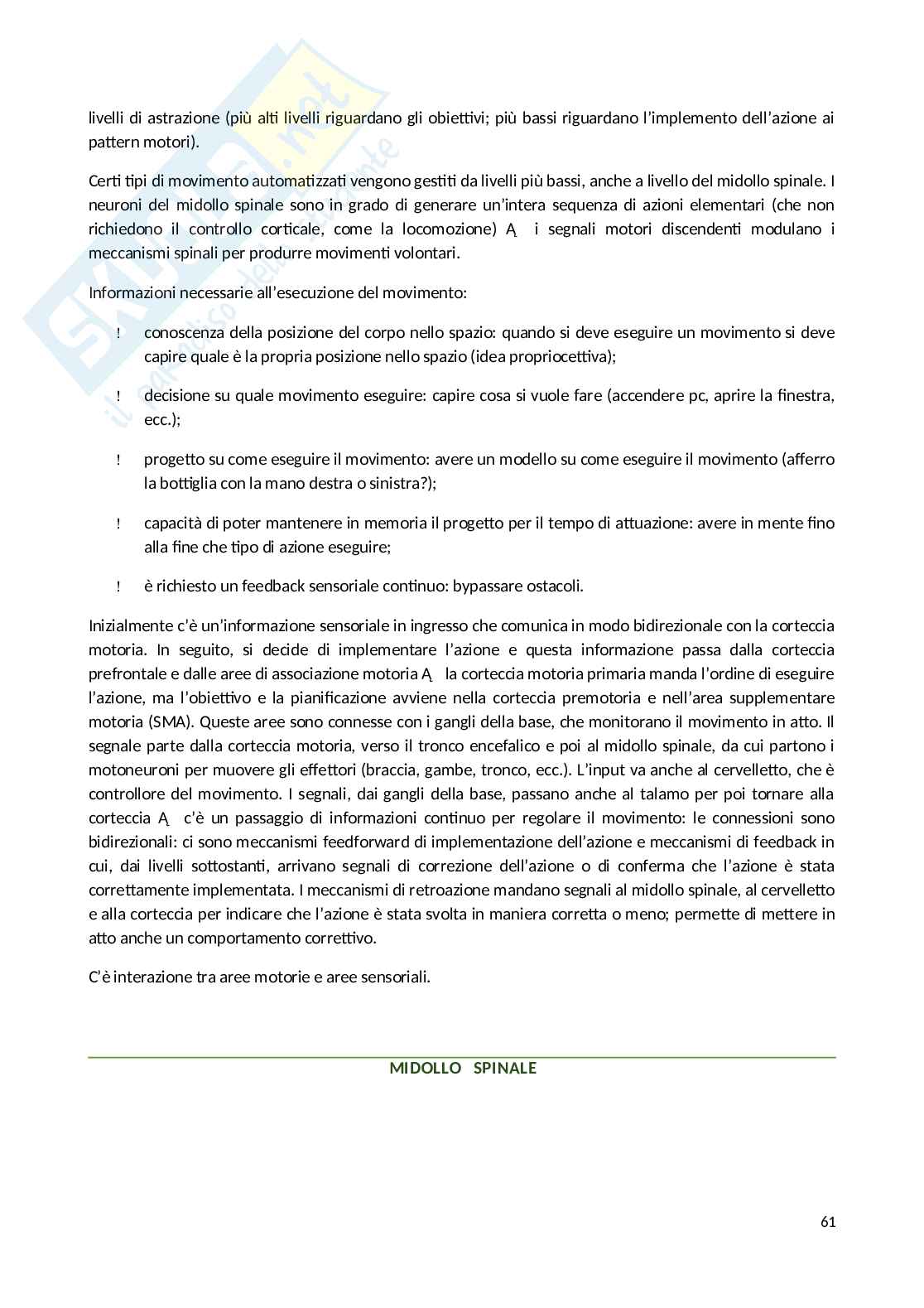 Appunti Psicobiologia Pag. 61