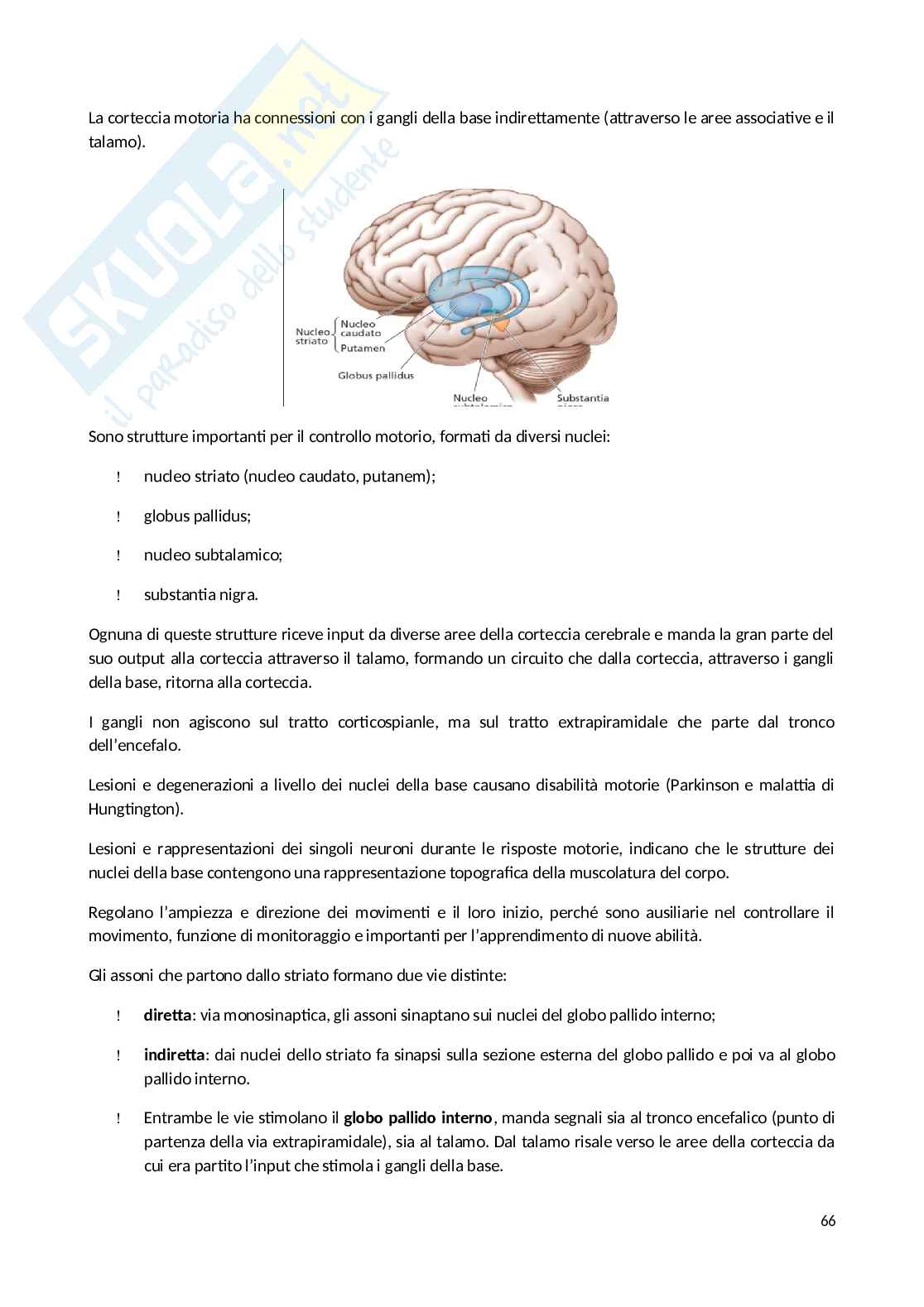 Appunti Psicobiologia Pag. 66