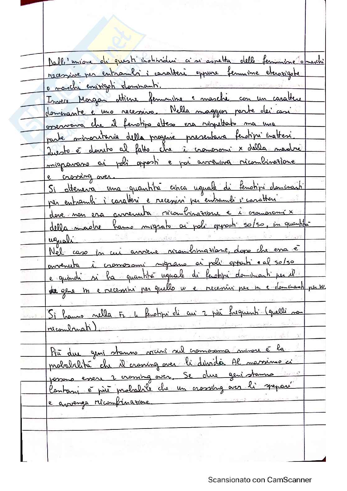 Genetica - Quaderno 1 Pag. 41