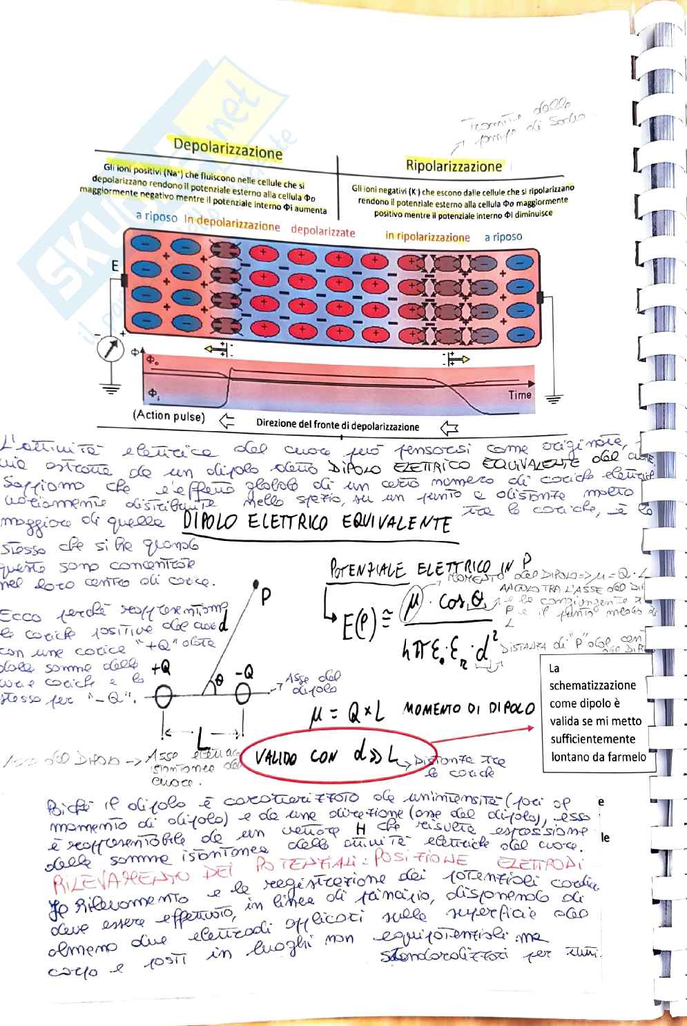 Appunti Strumentazione biomedica 1 Pag. 6