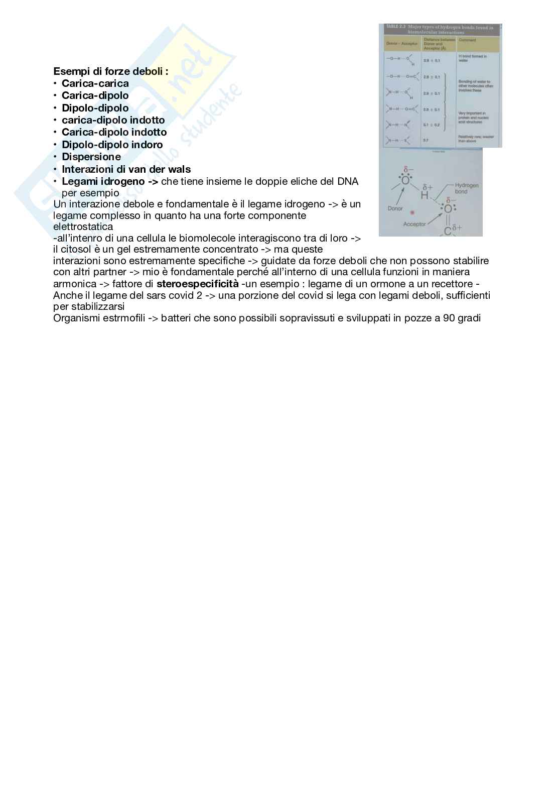 Appunti Chimica biologica Pag. 2