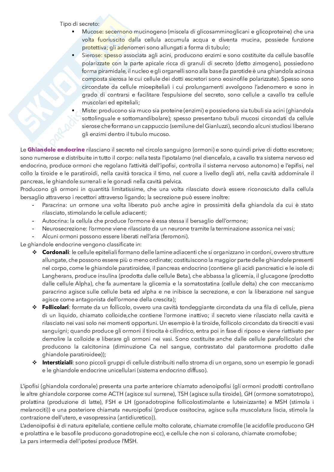 Appunti di Anatomia umana: istologia, apparato locomotore, cute e miologia Pag. 6