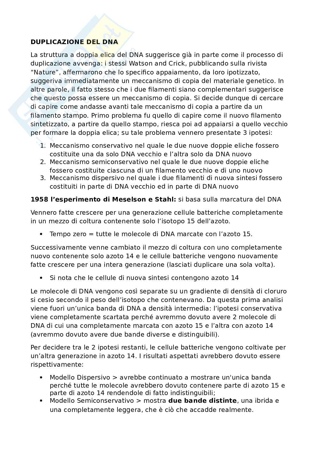 Biologia molecolare - Duplicazione 1 Pag. 1