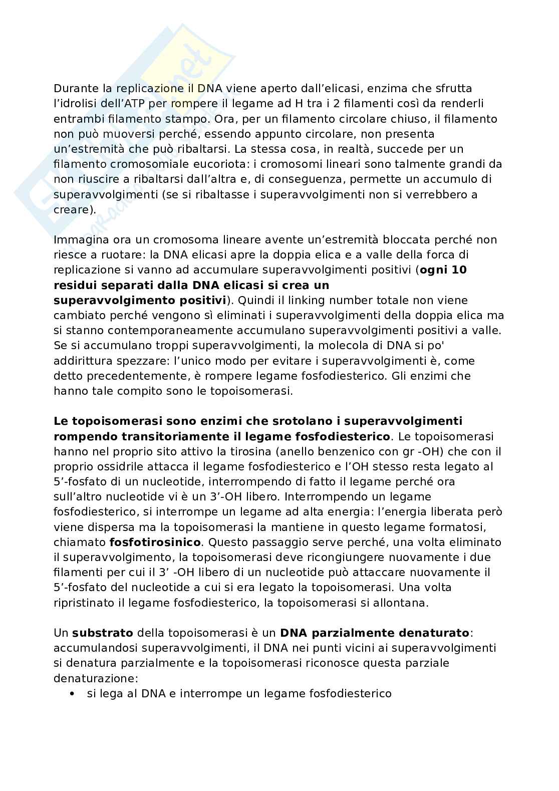 Biologia molecolare - Duplicazione 1 Pag. 11