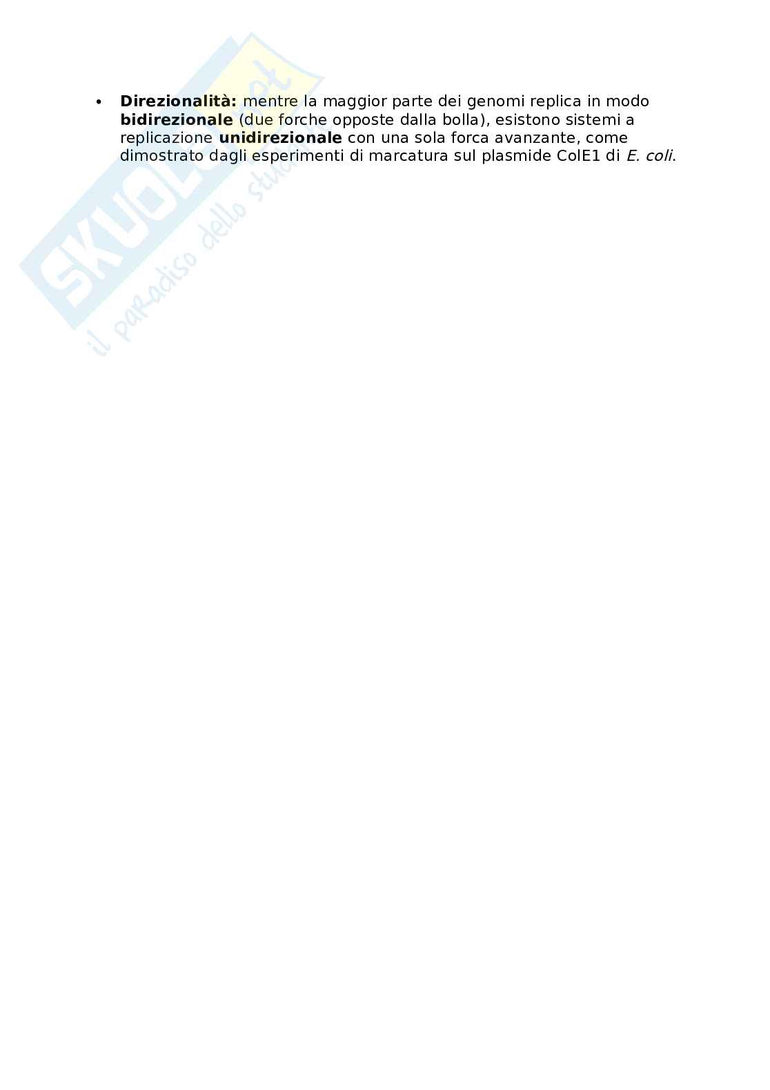 Biologia molecolare - Duplicazione 1 Pag. 16