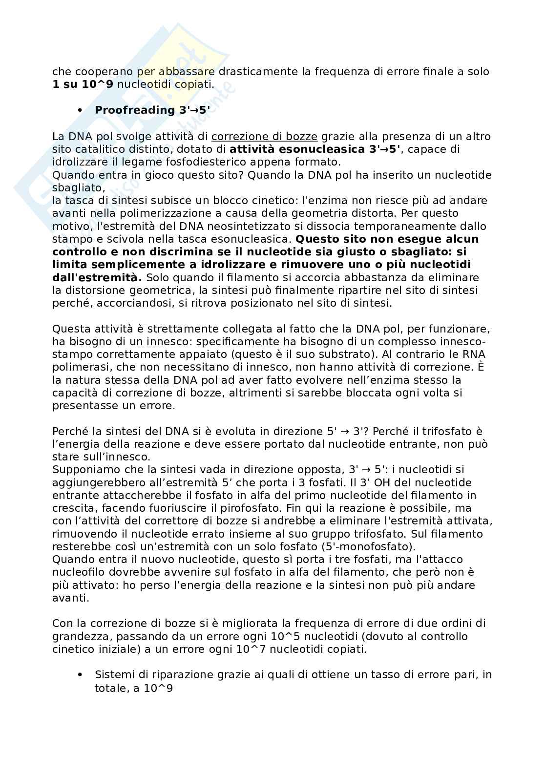 Biologia molecolare - Duplicazione 1 Pag. 6