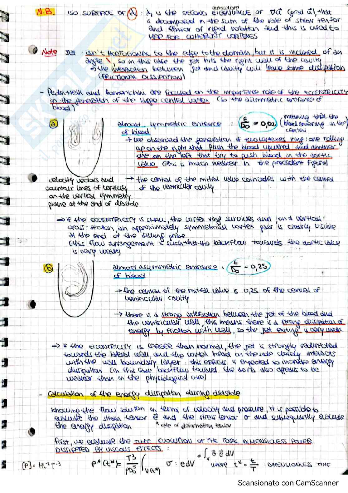 Theory - Bio-fluid Dynamics (Part II) Pag. 31