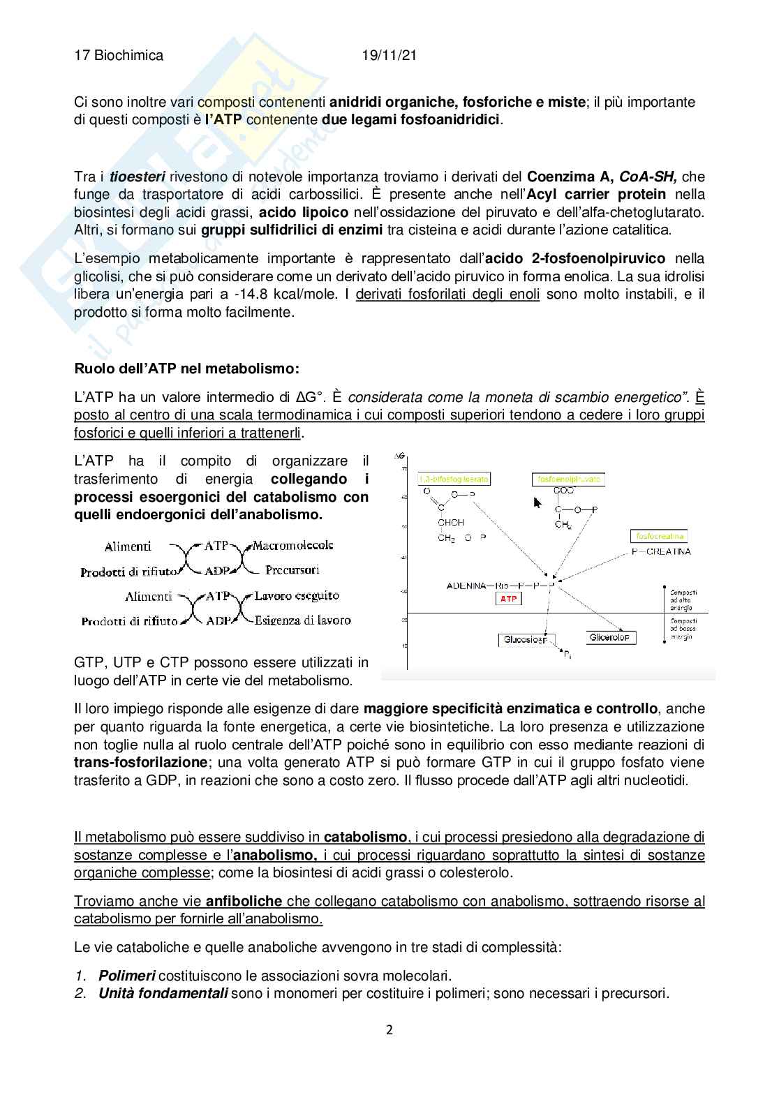 Appunti Biochimica Pag. 66