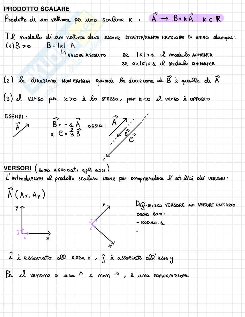 Appunti sui vettori per l’esame di Fisica 1 Pag. 2
