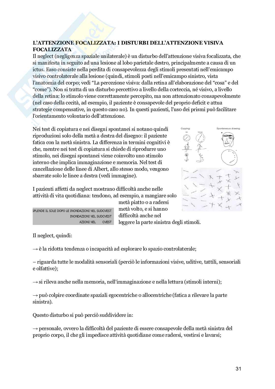 Appunti integrati con slide, Psicologia generale di base Pag. 31